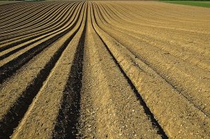 הפשרת קרקעות - שינוי ייעוד - הפשרת קרקע חקלאית