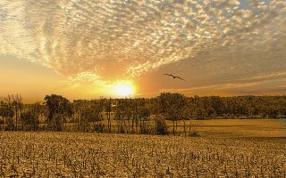 החכרת קרקע חקלאית