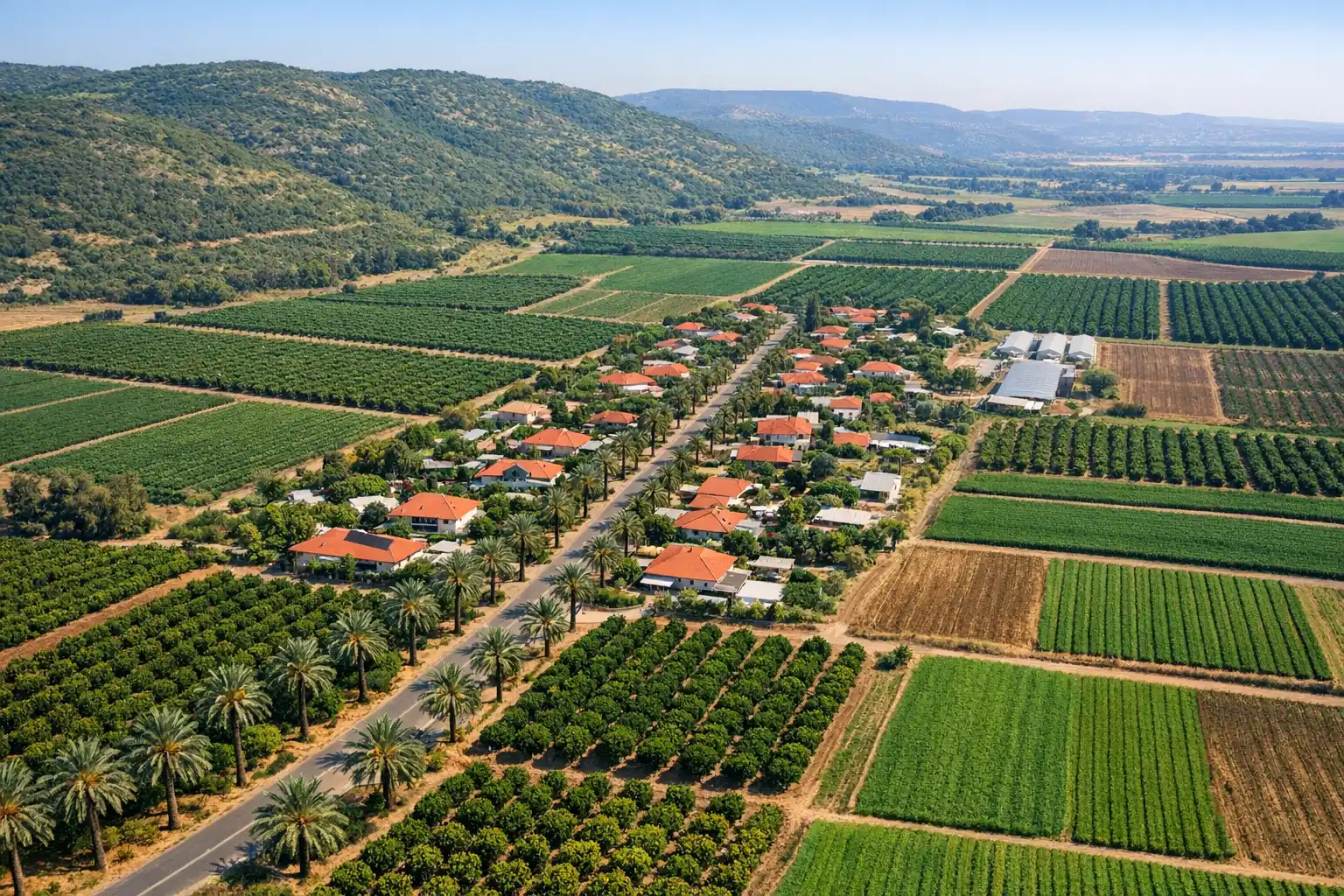 מבט אווירי על מושב חקלאי בשרון - נחלות ושטחים חקלאיים