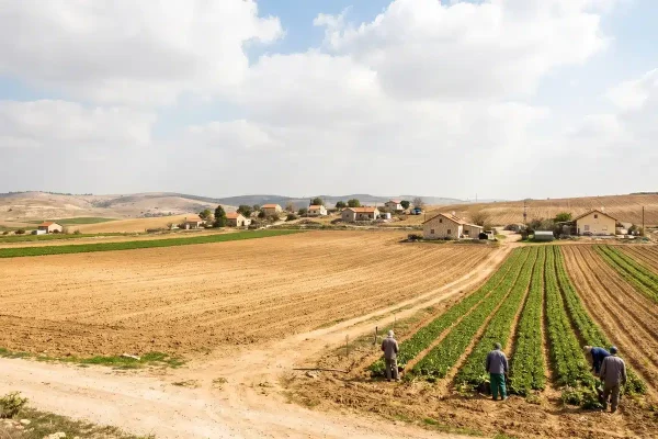 משפחות תובעות חלקן בקרקע